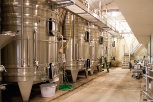 Elgi gives wine a breath of fresh air