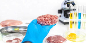 ETH Zurich on track to create lab-grown burgers
