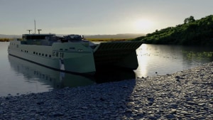 Birdon details Land 8710 proposals