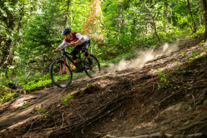 2020 Norco Sight revealed!