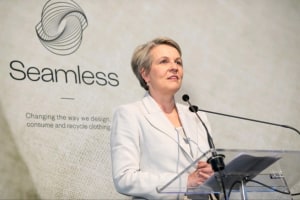 Tanya Plibersek calls on Kmart to join Seamless