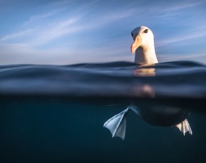 Behind the lens: Up close and personal