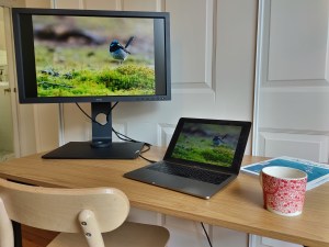 Tested: BenQ 27-inch 4K Adobe RGB Photo Editing Monitor SW271C