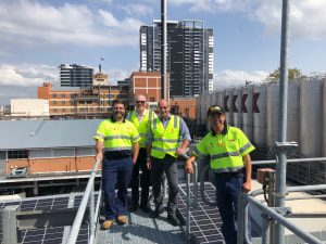 Lion to go carbon neutral in 2020
