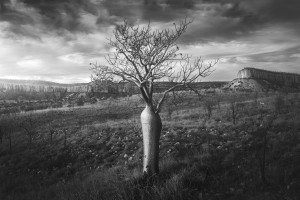 Behind the Lens: In time...