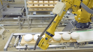Artificial Intelligence and Machine Learning in the food and drink sector