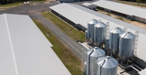 Inghams trading update, expects EBITDA of $247m