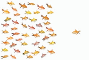 Dare to make a difference and innovate 