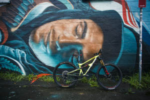 BIKE REVIEW: Intense Primer 29