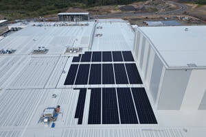 Suntory powers up with 7000 solar panels