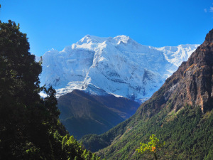 Video: Hiking Annapurna's famous circuit trek