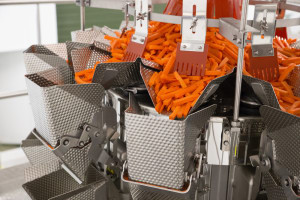 A dicer to cut through hard meats and cheese