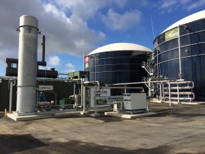 Opal explores renewable bio-gas pathway