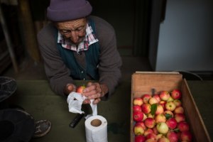 Featured portfolio &ndash; Jane Cowan &ndash; Australasia's Top Emerging Photographers 2019