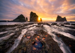 Sony Alpha Awards announces winners for 2022