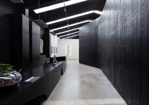 Art reframed: ebonised ash reimagines the tradtional gallery white