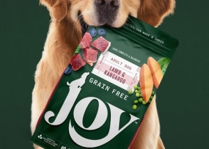 Boxer & Co's design brings Joy to pet owners