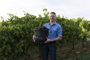 Australian Vintage achieves SWA certification