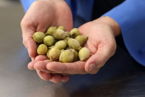 What happened this week in food and drink