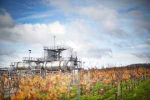 Brown Family Wine Group achieves full SWA certification 