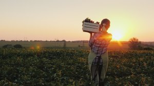 Kellogg partners with FRRR to tackle food insecurity