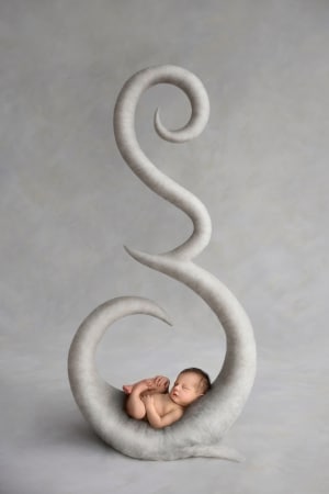 Aussie newborn photographer cleans up at WPPI