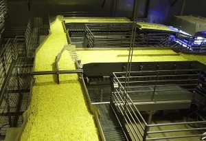High capacity conveyance with Key Technology