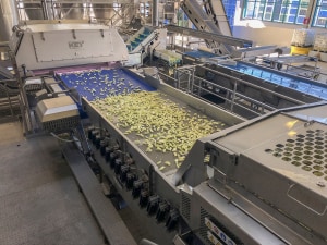 Key Technology comes up apples