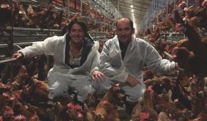 Pace Farm acquires egg producer Kinross Farms