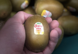 Opal and Accu-Label introduce paper produce labels