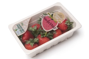 Seal and peel lidding for renewable resource trays