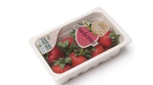 Putting sustainable packaging first 