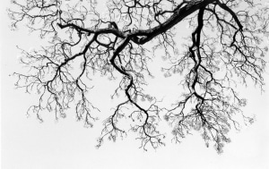 Getting started with shooting film (part one)