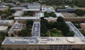 Net zero education 