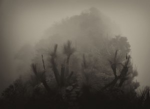 Australasia's Top Emerging Photographers 2022: Landscape, Winner