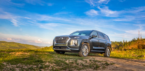 2020 Hyundai Palisade rigid structure