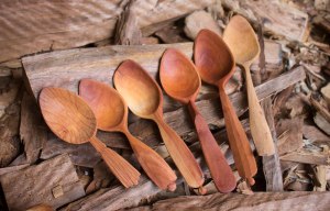 The Green Wood Spoon