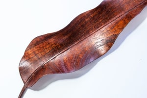 Carving a Eucalyptus Leaf