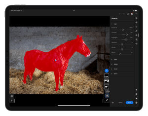 Adobe rolls out Lightroom updates