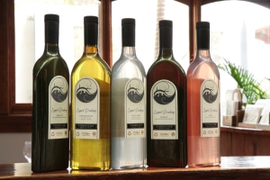 Packamama, Tamburlaine collaborate on eco-flat bottles