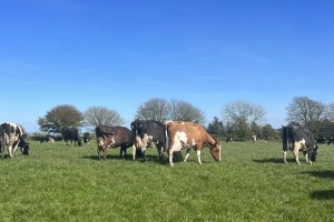 Barry Callebaut, Arla launch low carbon dairy partnership