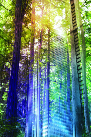  Low carbon best practice guides 