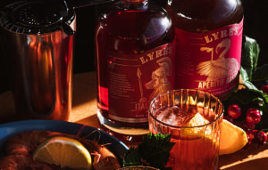 Lyre&rsquo;s set for unicorn status, $500m valuation