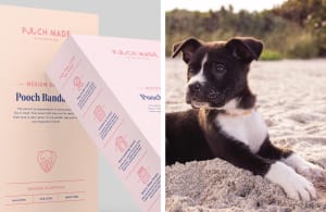 Popular pooch products get a playful preening