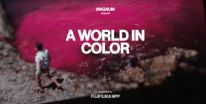 Magnum embarks on historic colour archive digitisation of 650,00 colour slides
