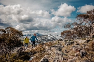 Mount Hotham's best walks - part 1