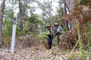 WA's new Wiilman Bilya Trail is one for the books! Pt I