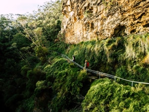 Grand Cliff Top Walk showcases the beauty of the Blue Mountains
