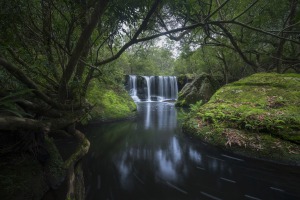 The basics of landscape composition (Part two)