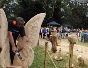It&rsquo;s back! Maleny Wood Expo opens April 29